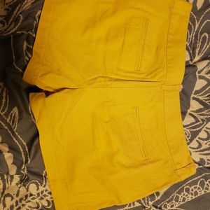 Women's shorts